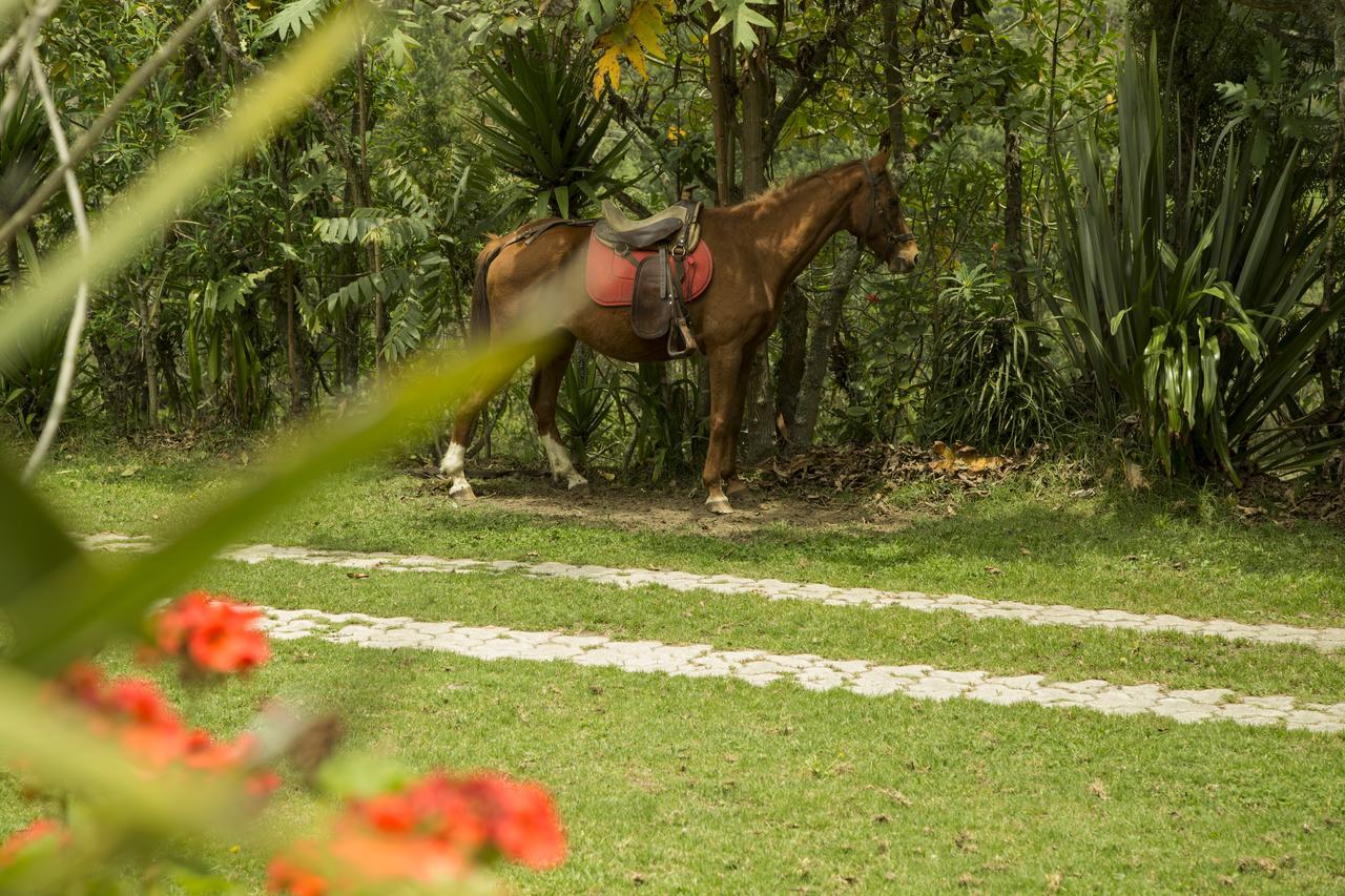 Estancia De La Campina Nono Exteriör bild